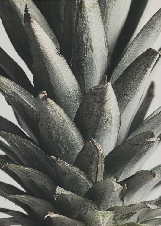 Ananas Nahaufnahme | Leinwand