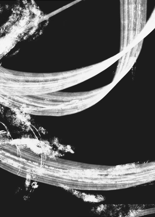negatives_006_tapestry | Leinwand