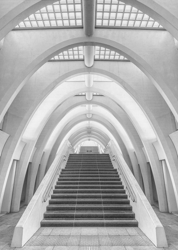 Calatrava Linien | Leinwand