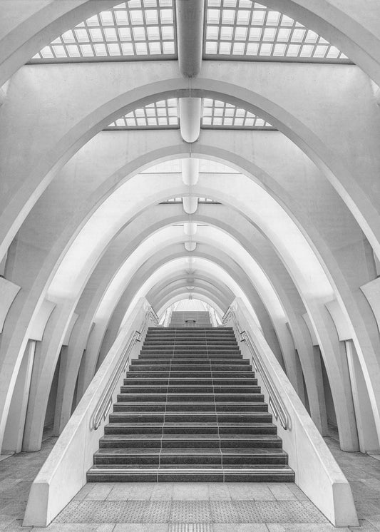 Calatrava Linien | Leinwand