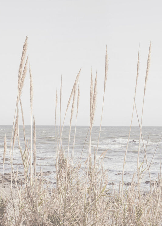 Strand_Vass_001 | Leinwand