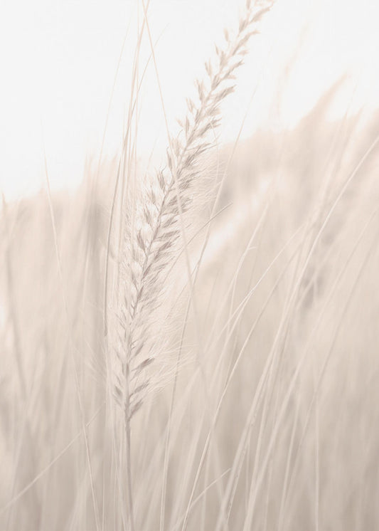 Grass_001 | Leinwand