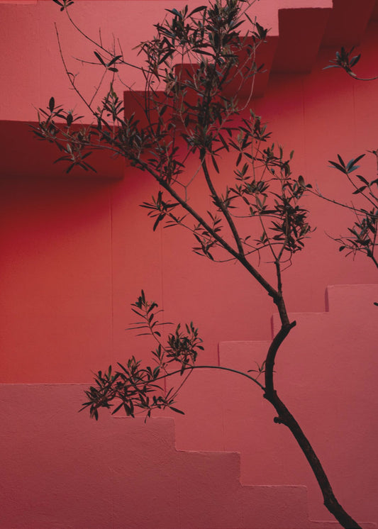 Muralla Roja #14 | Leinwand