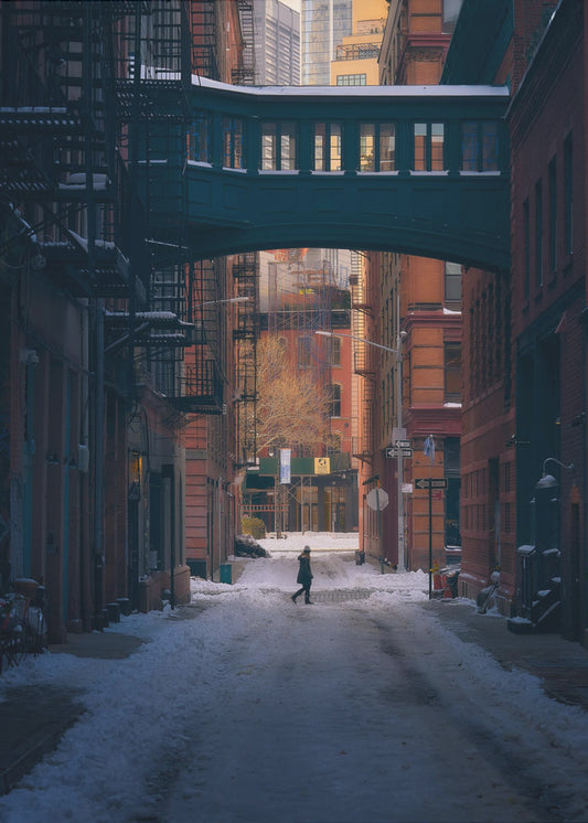 Unter der Skybridge | Poster