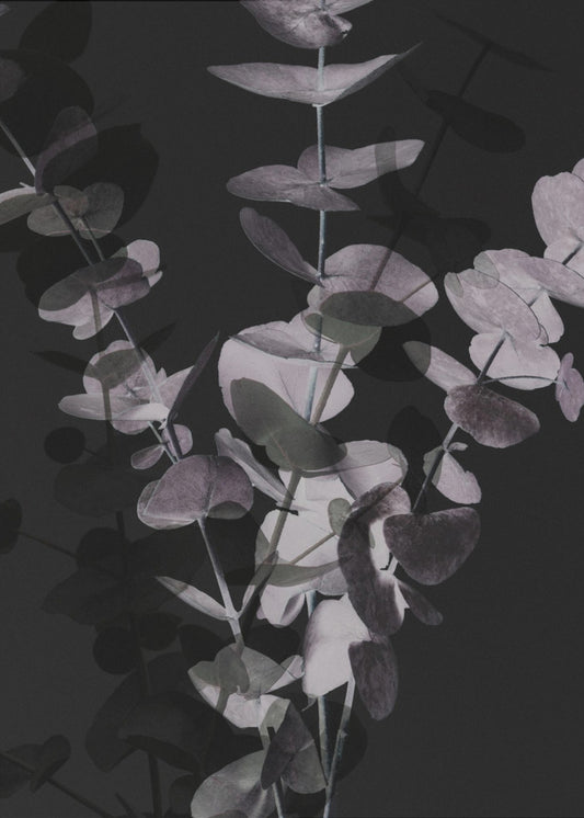 Eukalyptus_Negativ_001 | Leinwand