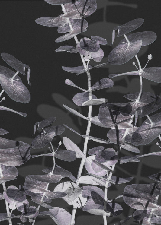 Eukalyptus_Negativ_002 | Poster