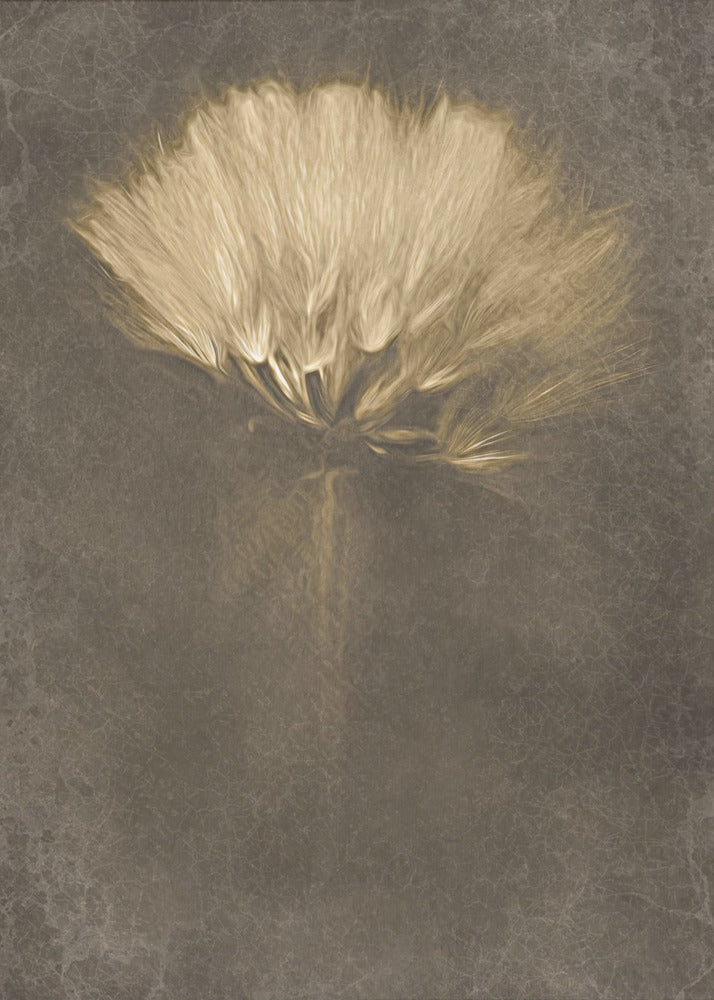Geheimnisvolle Tage | Poster