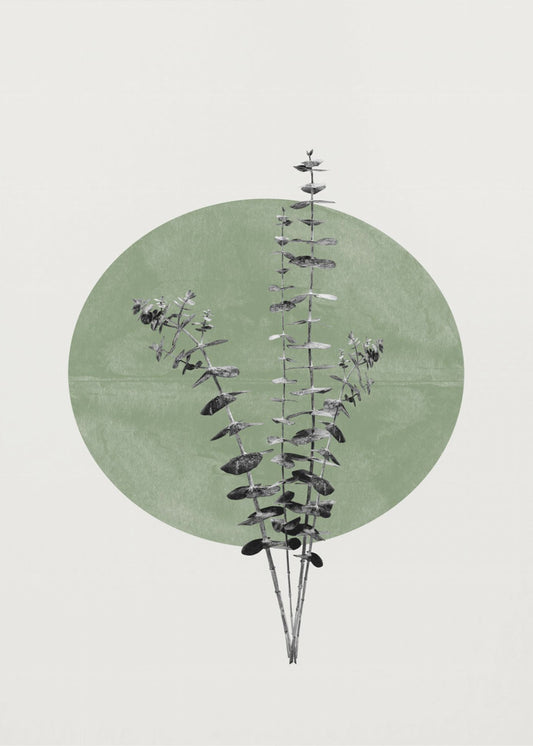 Naturecho | Leinwand
