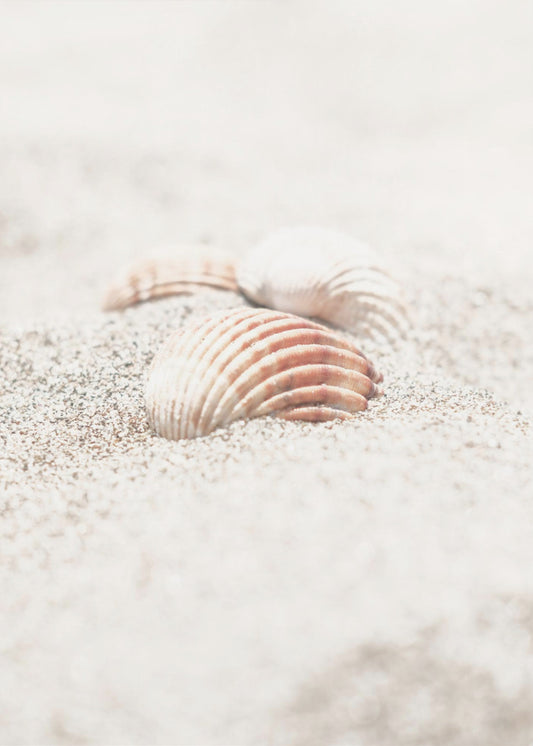 Strand_013 | Leinwand