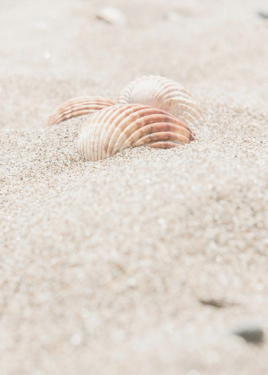 Strand_014 | Leinwand