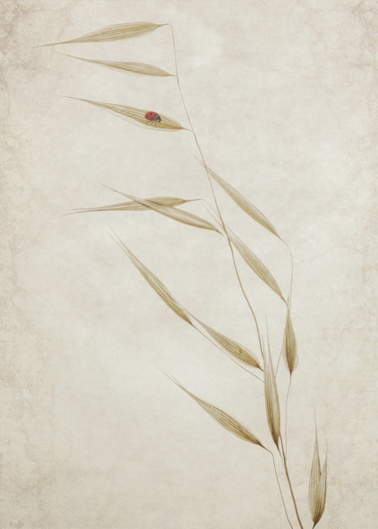 Der Mieter | Poster