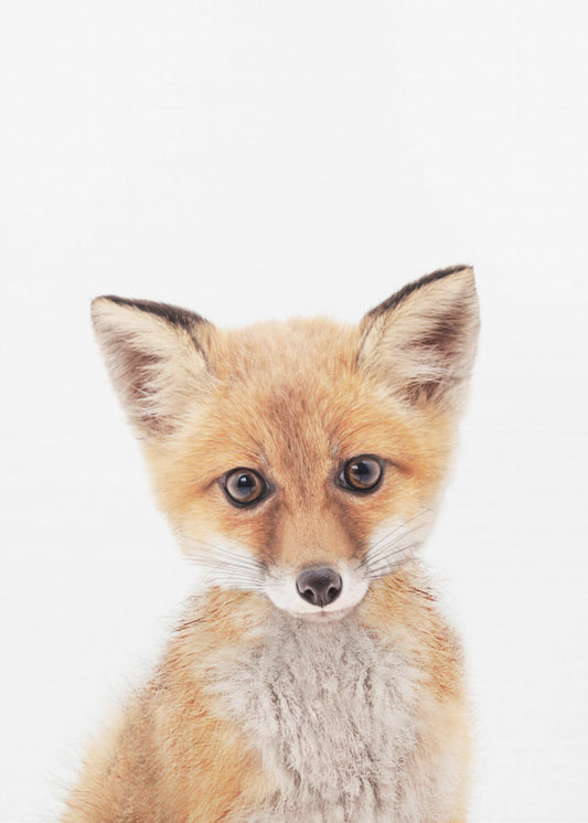 Baby Fuchs | Leinwand