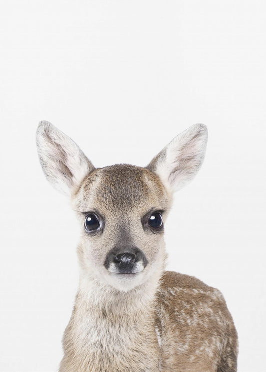 Baby Hirsch | Leinwand