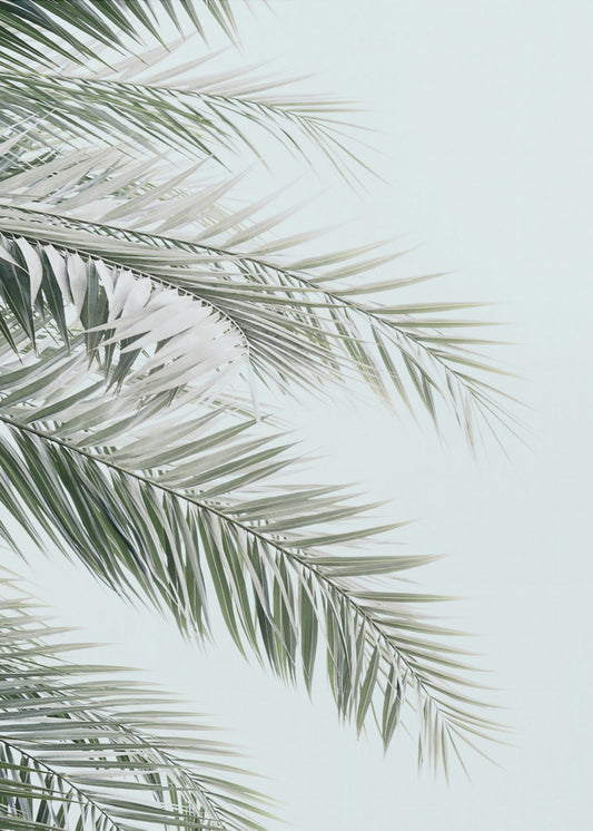 Blue Palms | Canvas