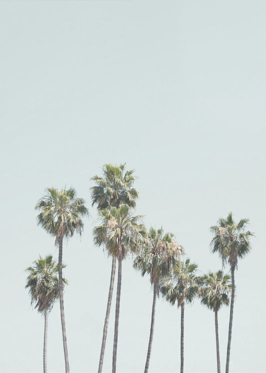 Blue Palm Trees | Canvas