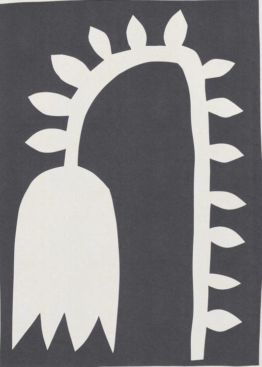 Schwarze Tulpe #2 | Poster