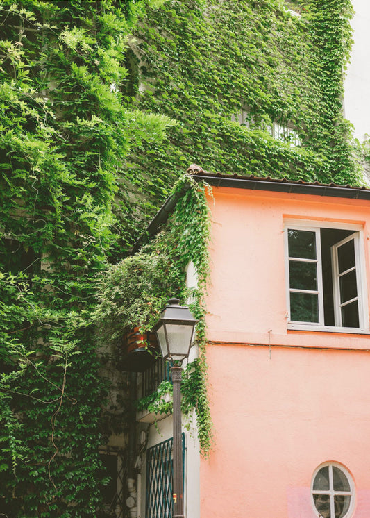 Grün und Pink || Montmartre Paris | Poster