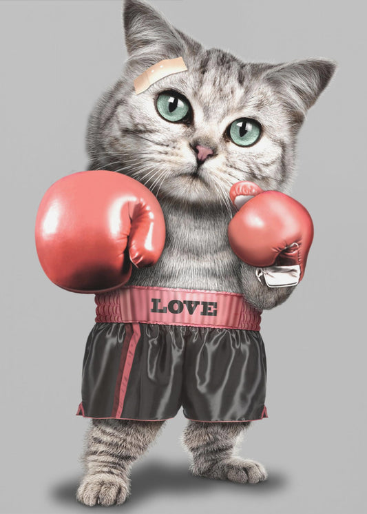 boxende Katze | Leinwand