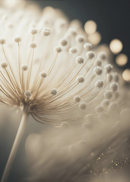 Whispering Seeds | Canvas