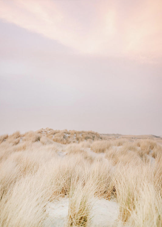 Ameland Dünen 2 | Poster