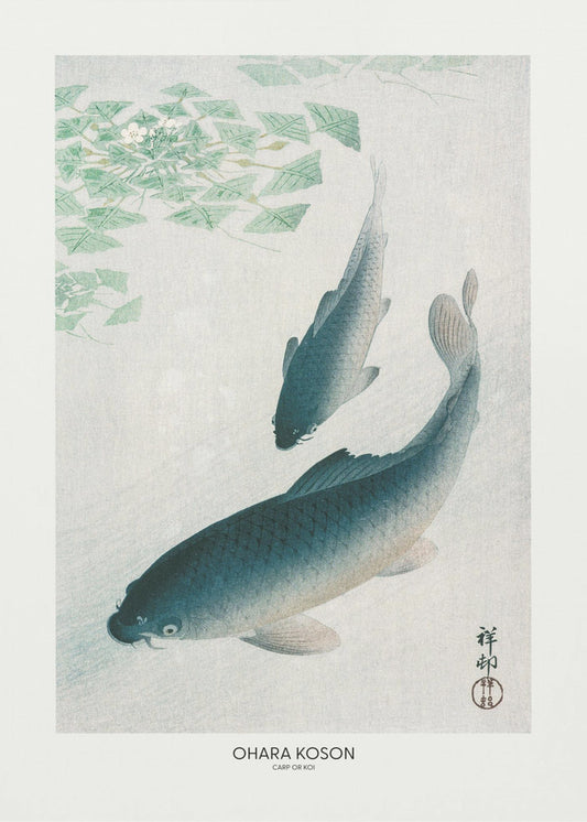 Karpfen oder Koi | Poster