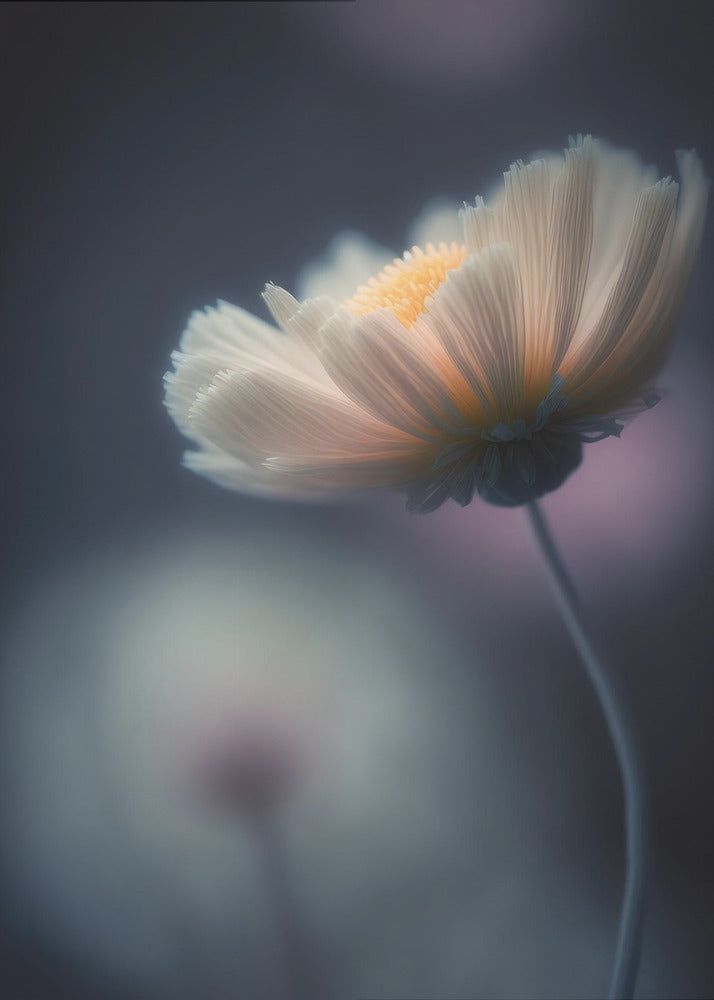 Ätherische Blüte | Leinwand