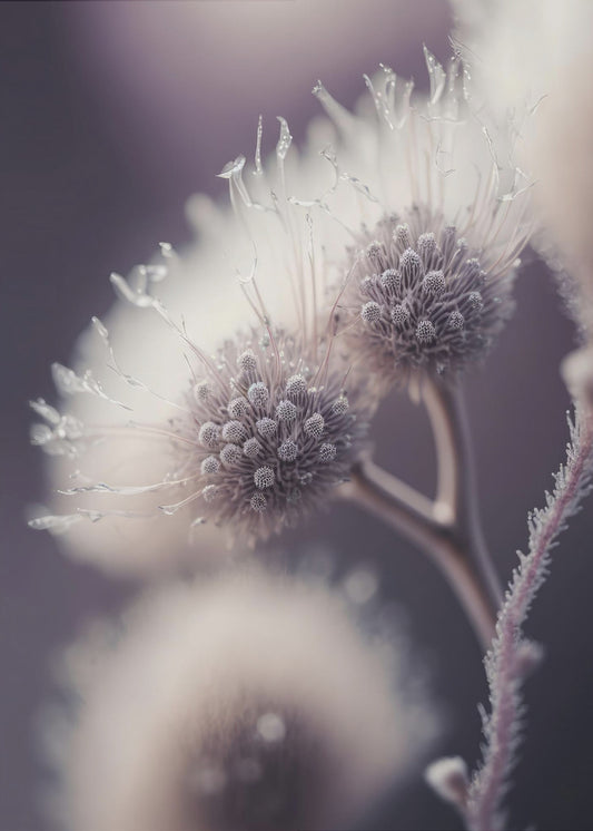 Ätherische Blüten | Leinwand