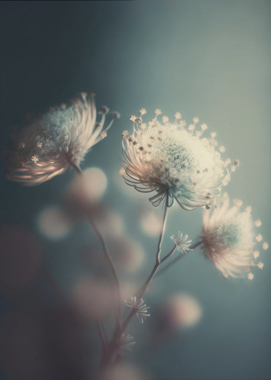 Ätherische Blüten | Poster