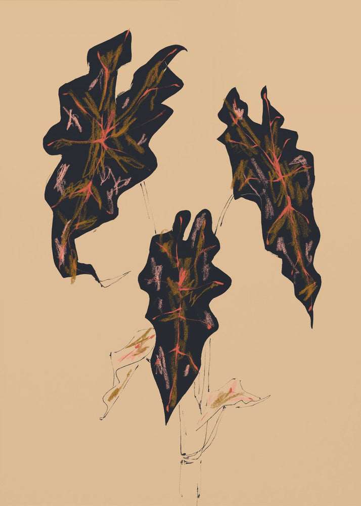 Alocasia Polly Beige | Leinwand