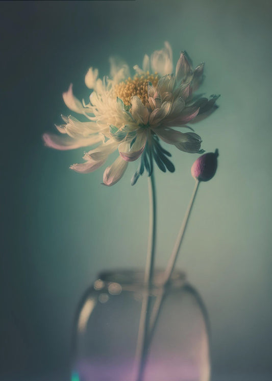 Ätherische Blüte | Leinwand