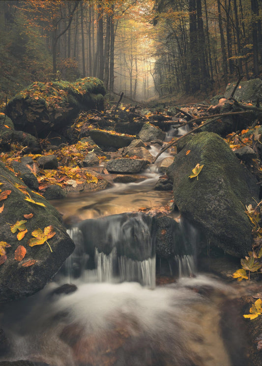 Verträumter Herbst | Leinwand
