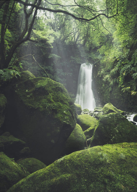 Mystic Falls | Leinwand