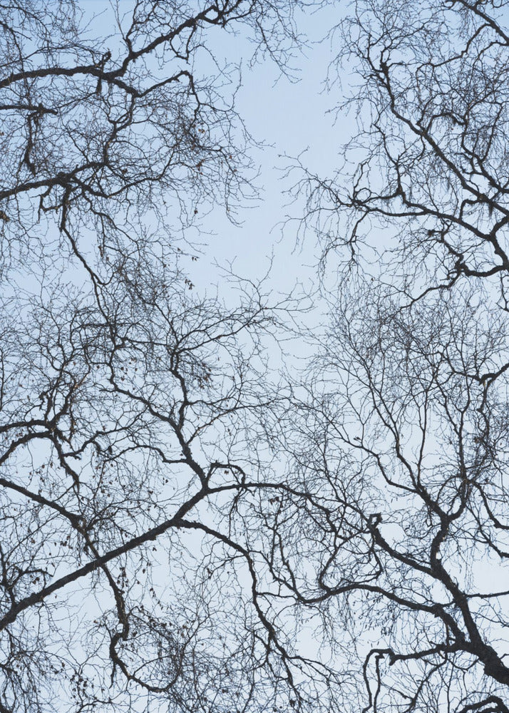 Abstrakter Baum | Leinwand