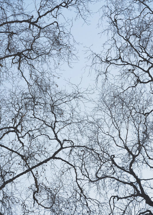 Abstrakter Baum | Leinwand