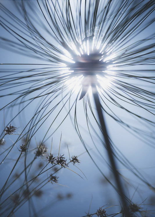 Botanisches Blau | Leinwand