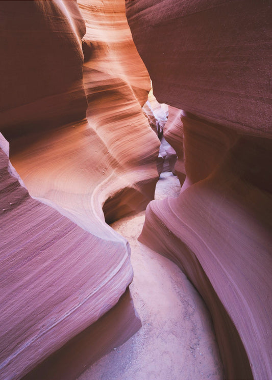 Purple Canyon | Poster