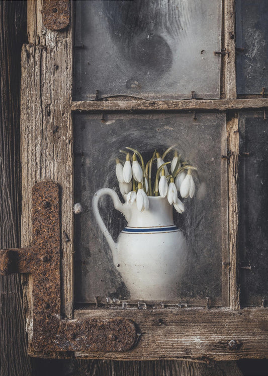 Frühlingsblumen im Fenster | Leinwand
