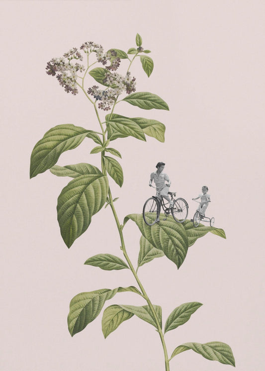 Botanisches Radfahren | Leinwand