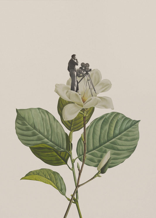 Botanischer Vintage-Kameramann | Leinwand