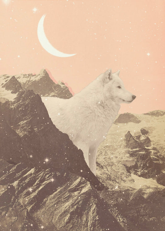 Riesiger weißer Wolf in den Bergen | Poster