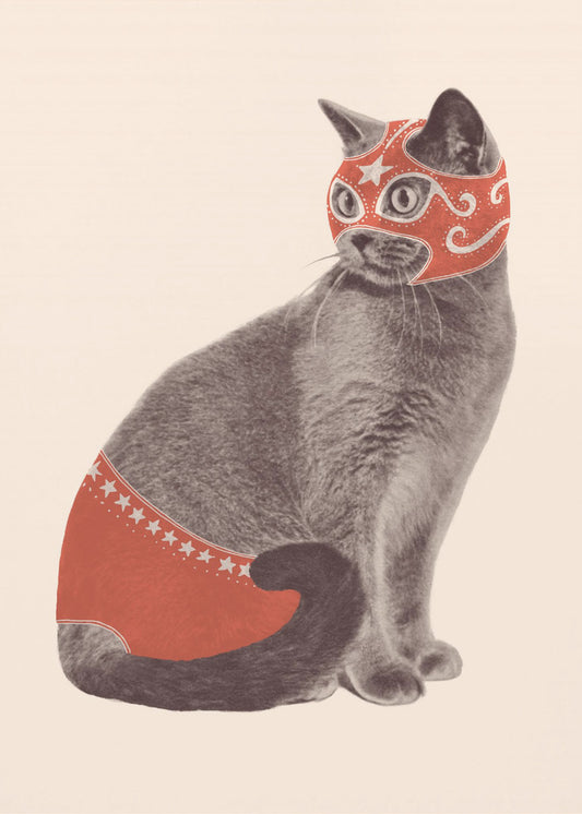 Chat Catcher | Poster