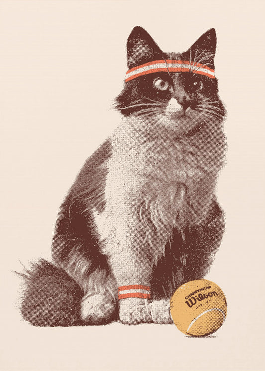 Chattennis | Poster