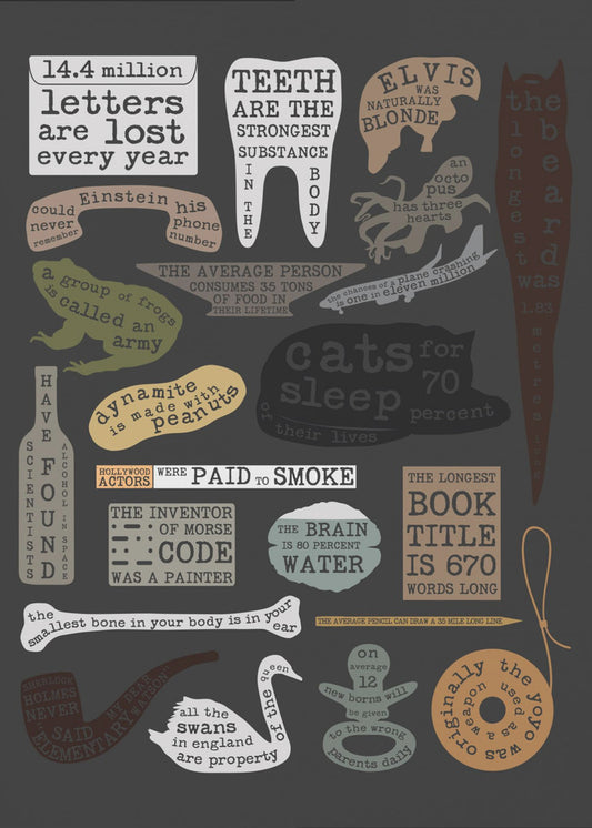 Wissenswertes | Poster