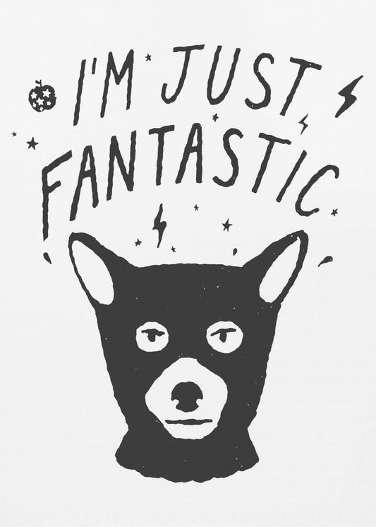 Ich bin einfach fantastisch | Poster