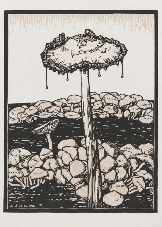 Tropfender Pilz 1916 | Poster