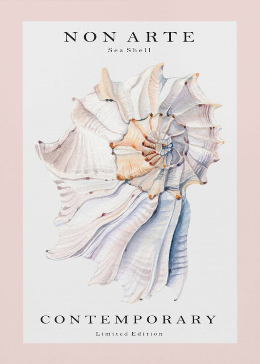 Non Arte Sea Shell no.1 | Poster
