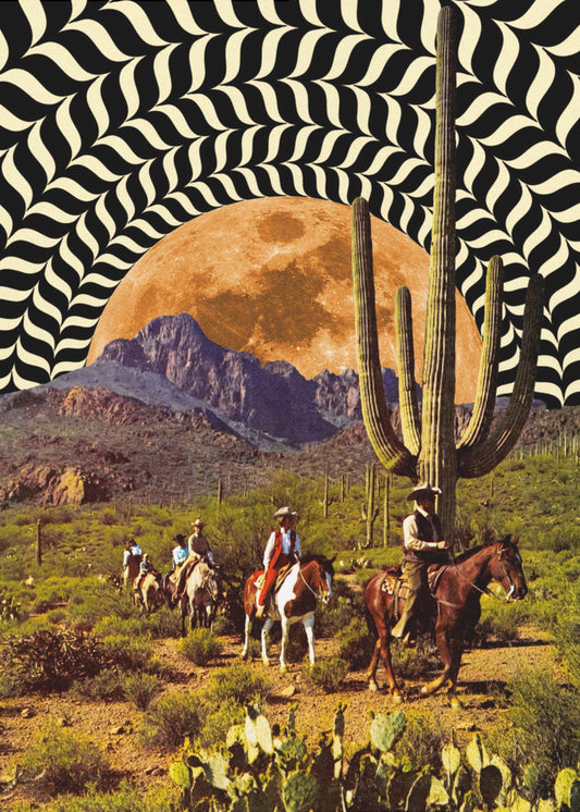 Illusionäre Cowboys | Poster