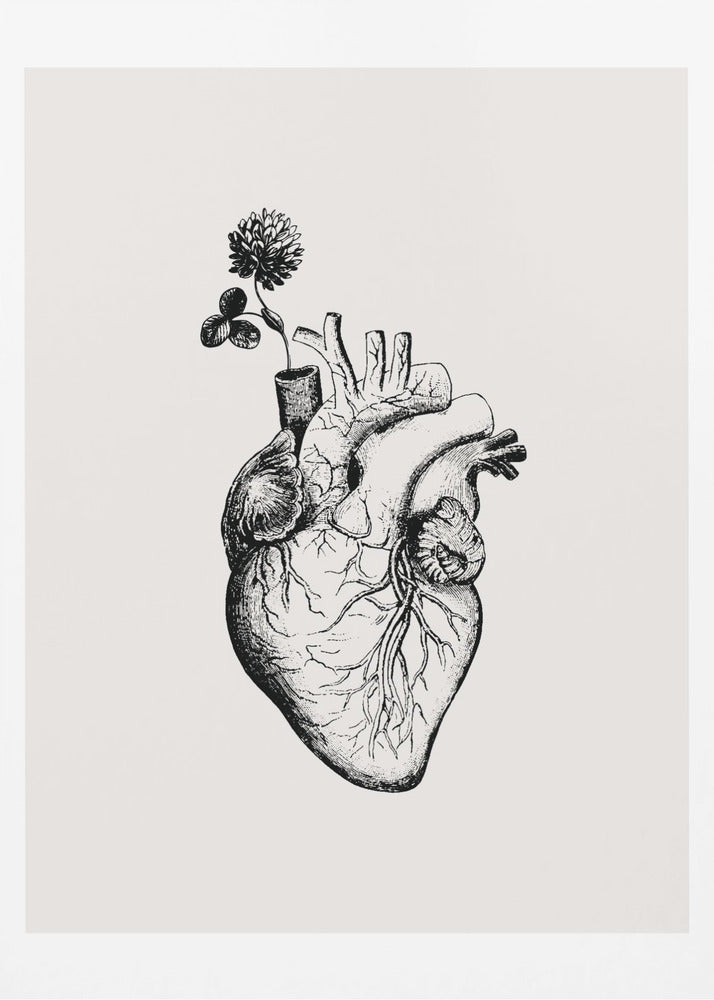 Herzblüte | Poster