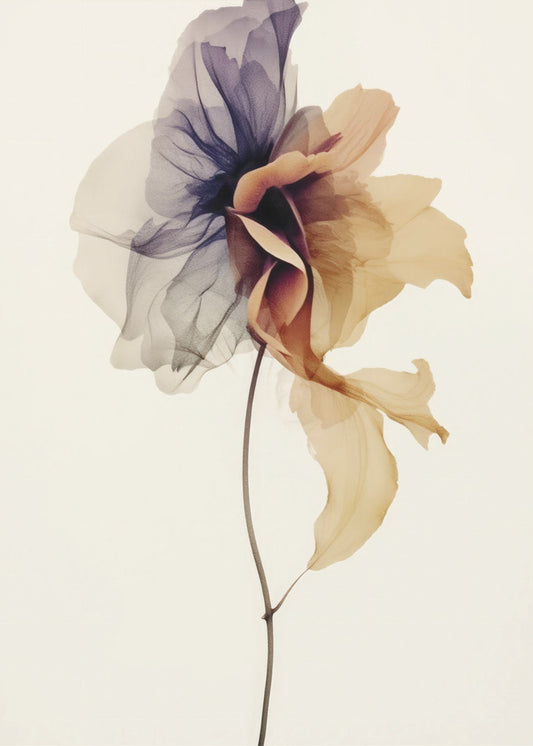Chiffonblume | Poster