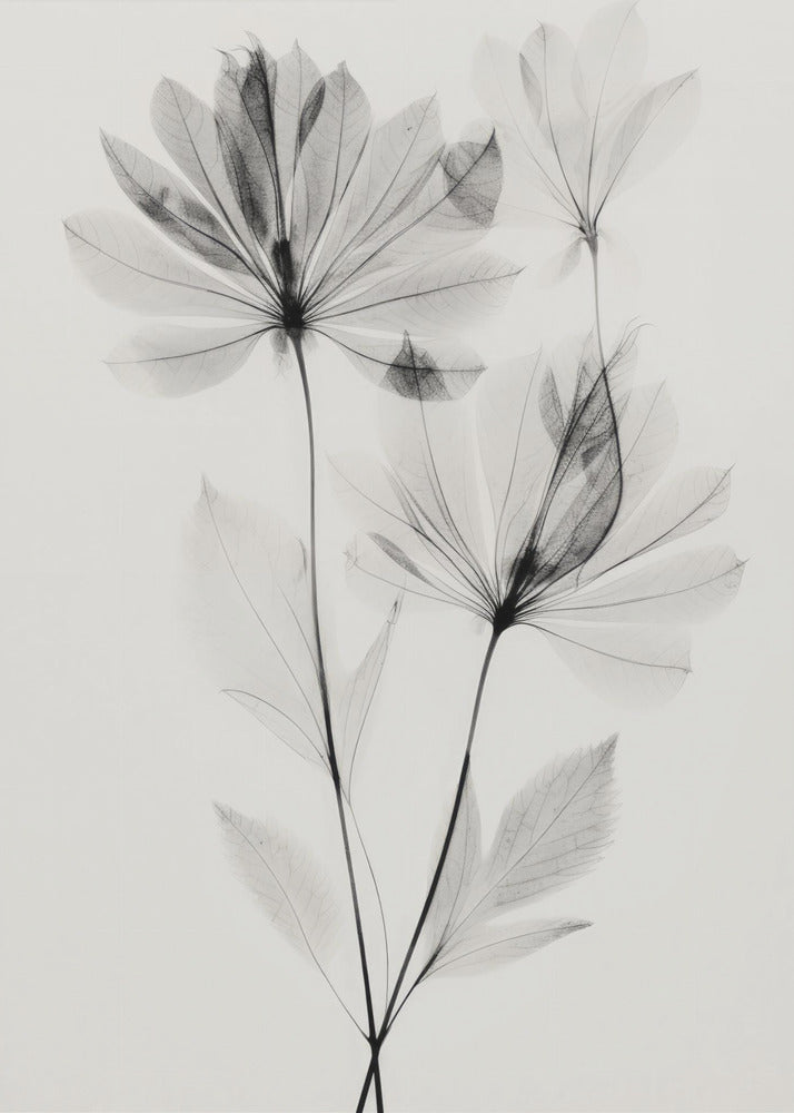Ätherische Blüten | Leinwand